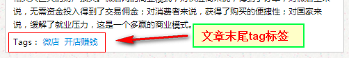 zblog如何给列表页和内容页添加tag标签