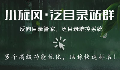 小旋风泛目录站群标签使用说明(图1)